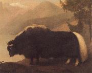 George Stubbs Yak oil painting artist